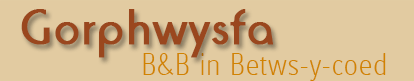 Gorphwysfa Bed and Breakfast
