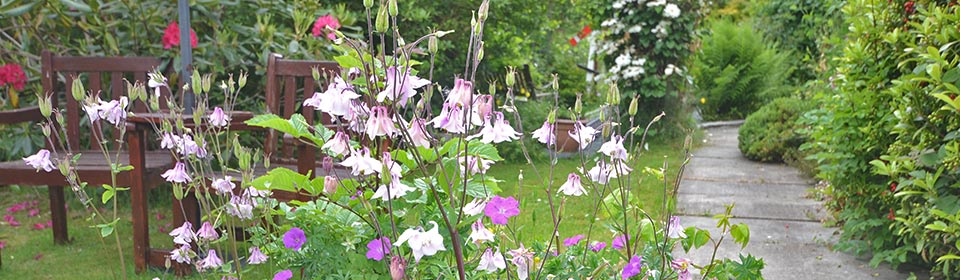 the garden at gorphwysfa